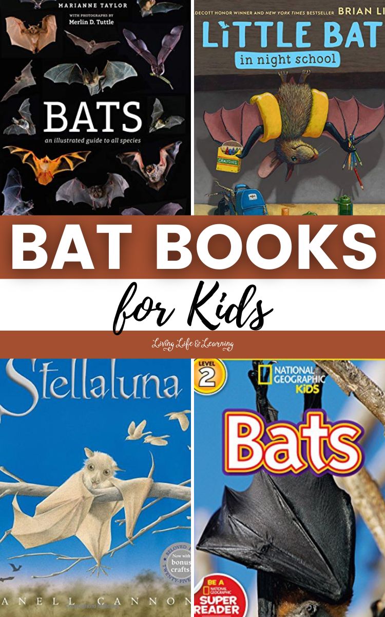 Best Bat Books for Kids