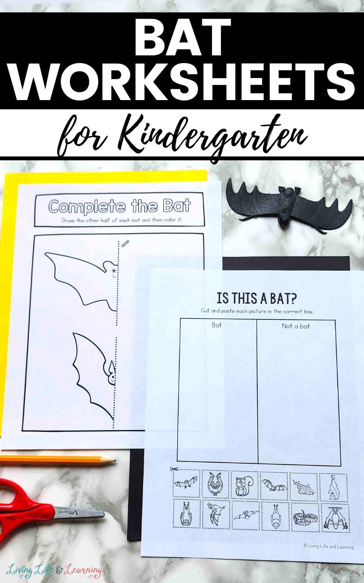 Bat Worksheets for Kindergarten