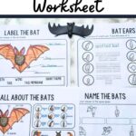 Bat Labeling Worksheet