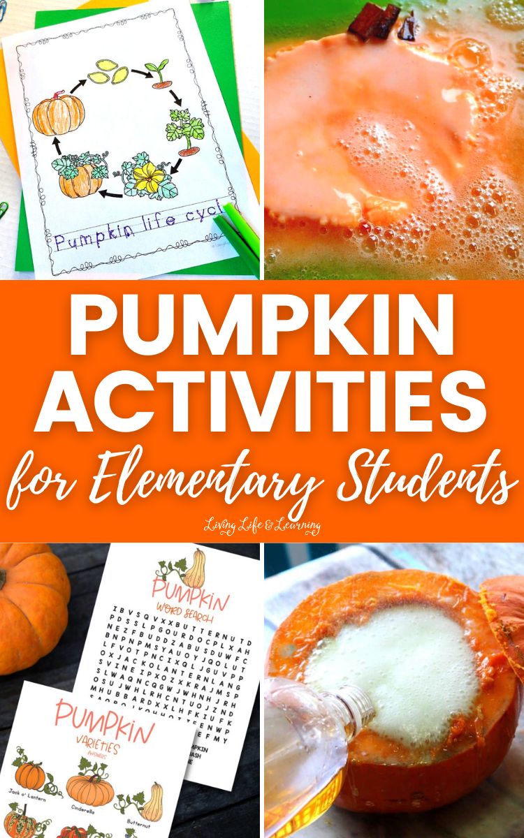 Pumpkin Activities for Elementary Students