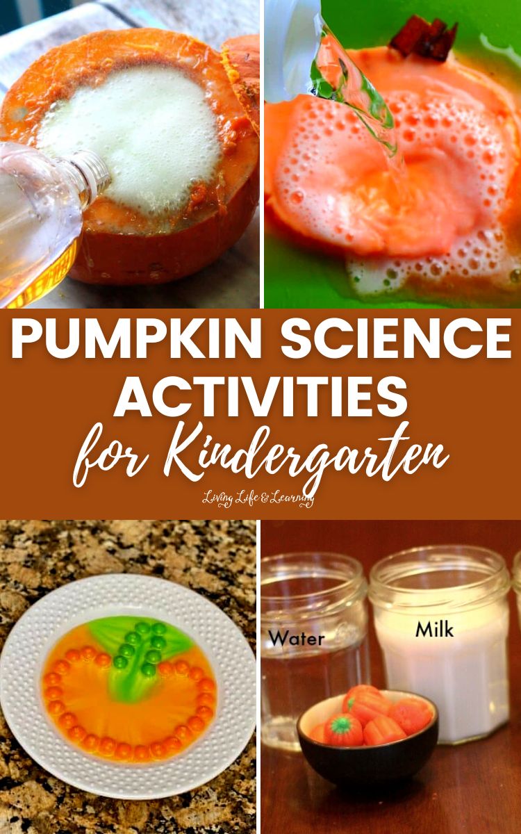 Pumpkin Science Activities for Kindergarten