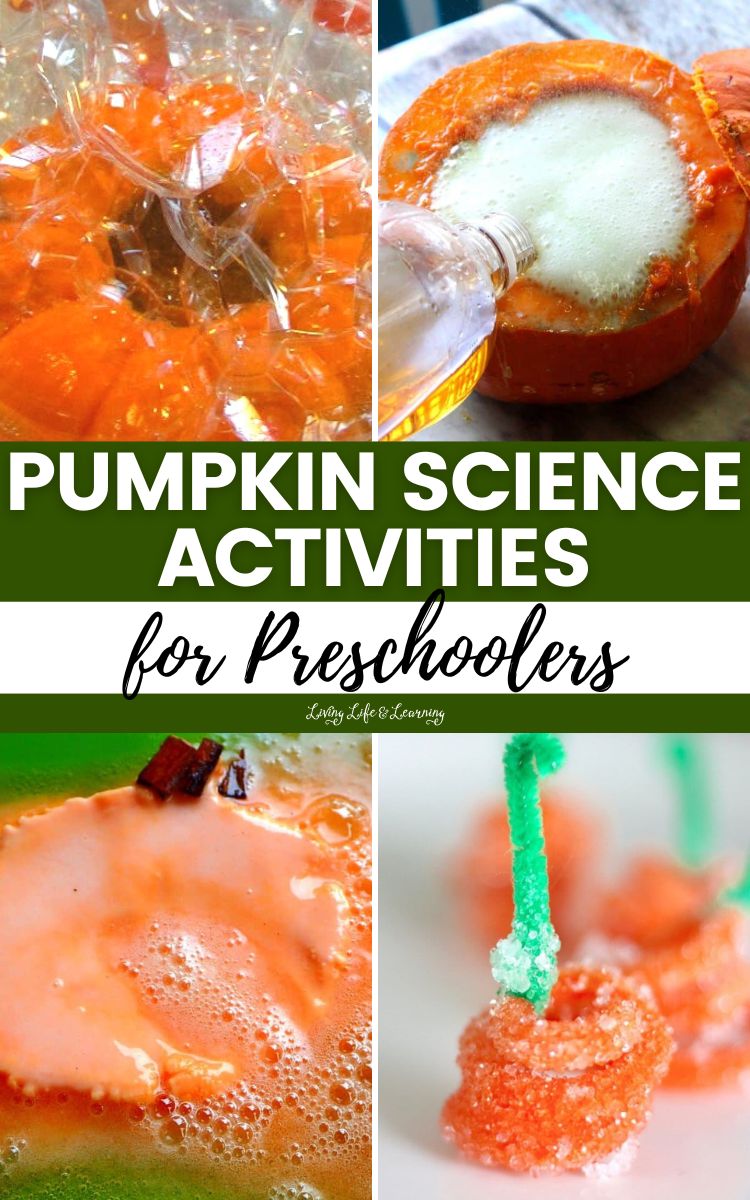 Pumpkin Science Activities for Preschoolers