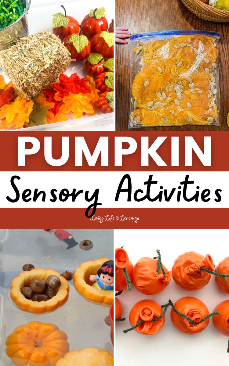Pumpkin Sensory Activities
