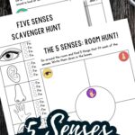 5 Senses Scavenger Hunt Printable