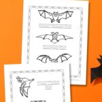 Two Bat Coloring Pages on a table