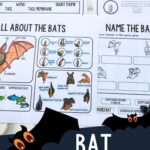Bat Labeling Worksheet