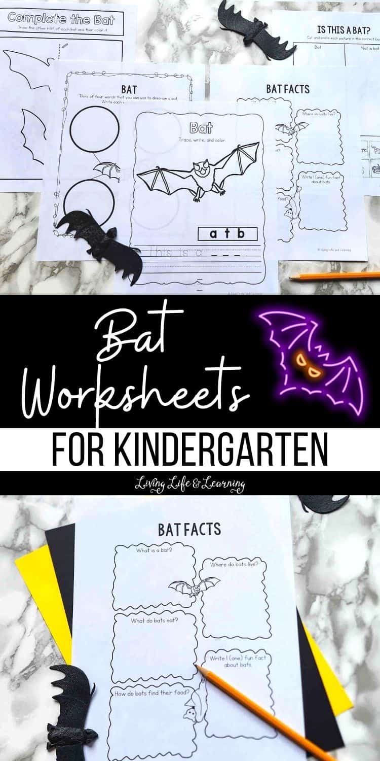 Bat Worksheets For Kindergarten