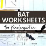 Two images of Bat Worksheets for Kindergarten on a table