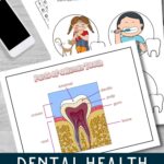 Dental Health Worksheets for 1st Grade