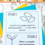 A page of the Life Cycle of a Pumpkin Book on a table