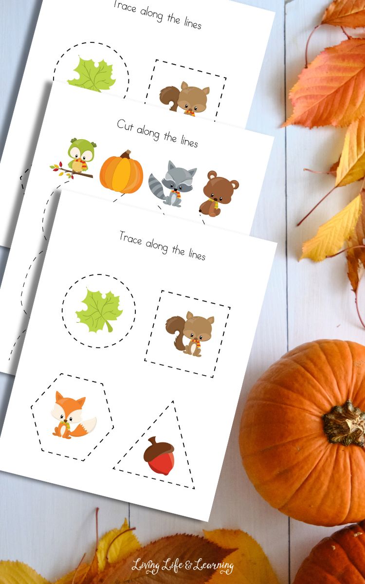 Fall Animals Tracing Worksheets