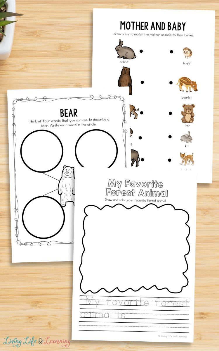 Three Forest Animal Worksheets for Kindergarten on a table