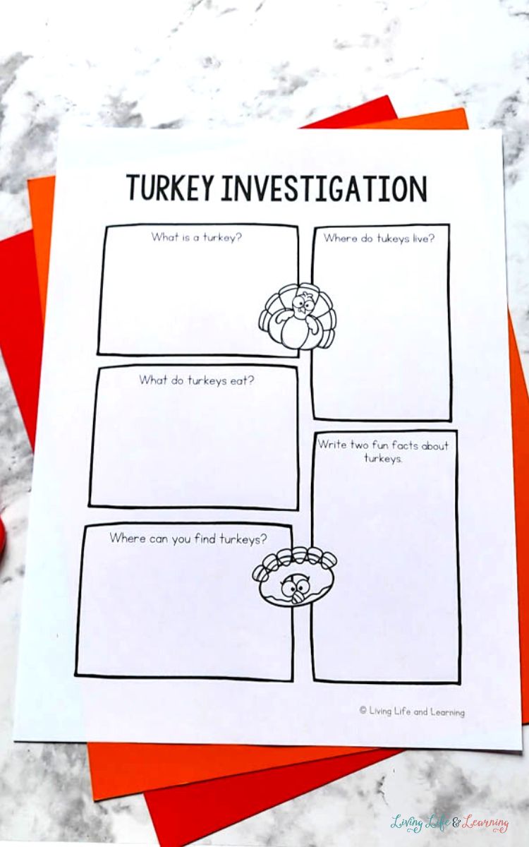 Turkey Worksheets for Kids