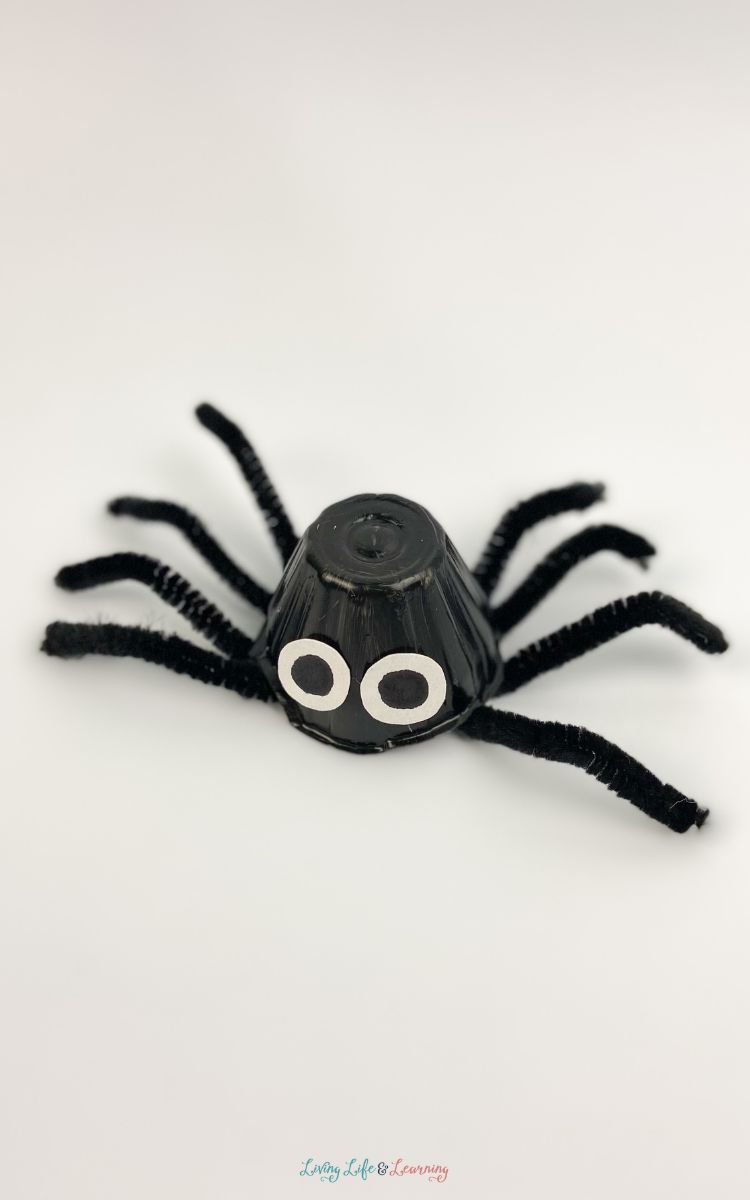 Spider Egg Carton Craft