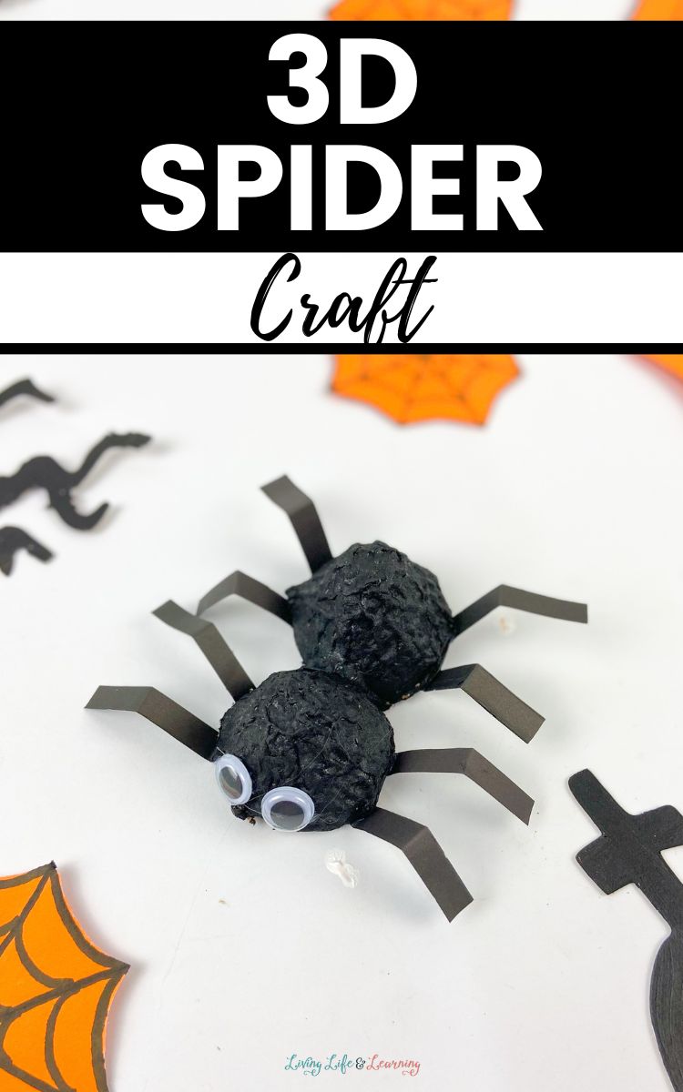 3D Spider Craft