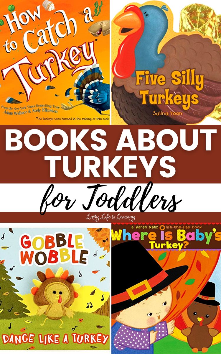 Books About Turkeys for Toddlers