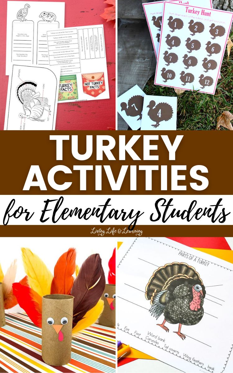 Turkey Activities for Elementary Students