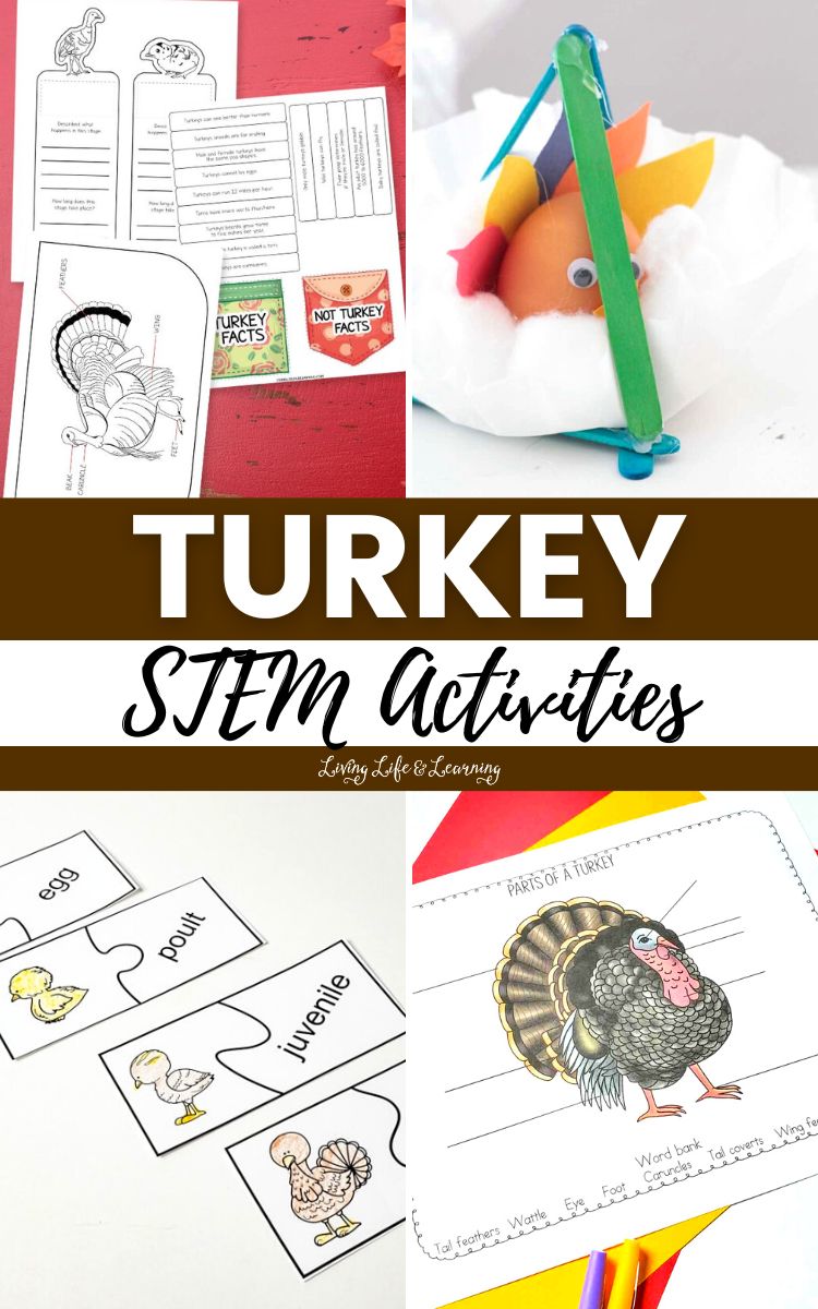 Turkey STEM Activities