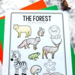 A Forest Animal Worksheet for Kindergarten on a table