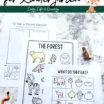 Three Forest Animal Worksheets for Kindergarten on a table