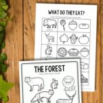 Two Forest Animal Worksheets for Kindergarten on a table