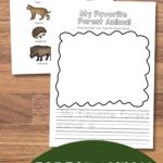 Two Forest Animal Worksheets for Kindergarten on a table