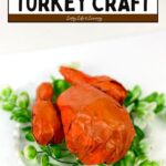 Paper Plate Whole Turkey Craft on a table