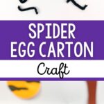Spider Egg Carton Craft