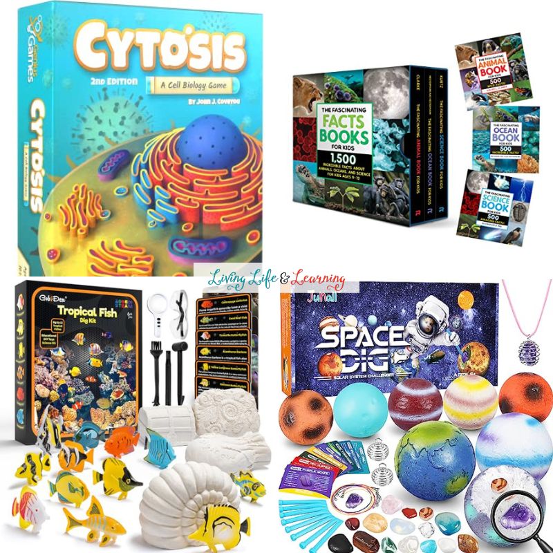 Best Science Gifts for 12 Year Olds