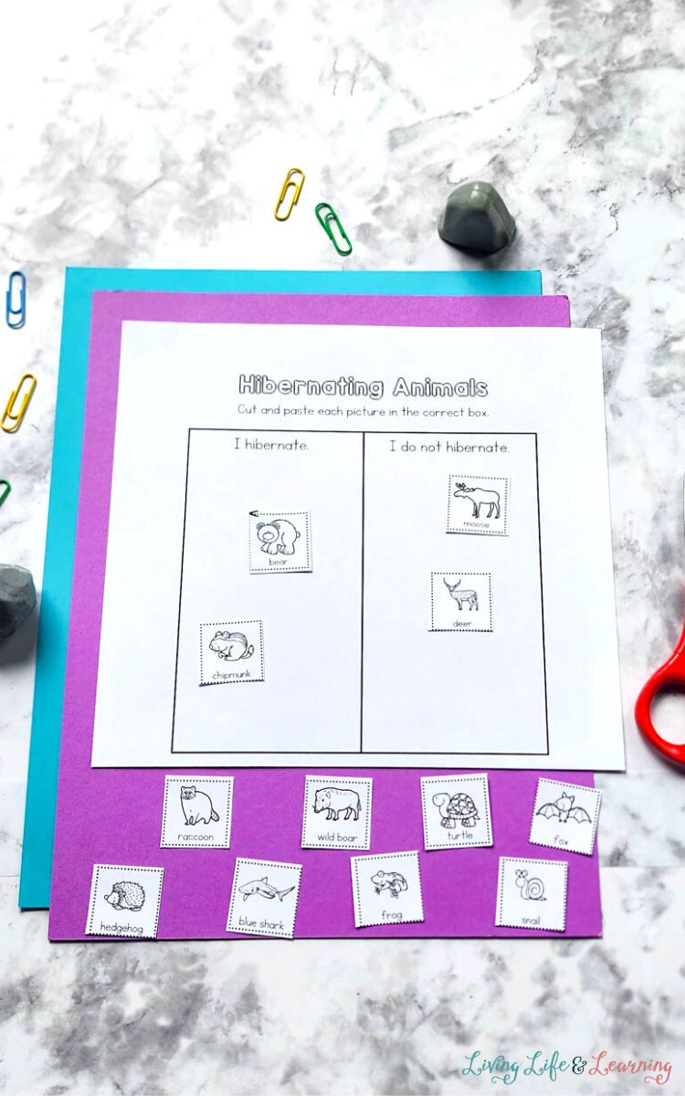 A Hibernation Worksheet to cut and paste different animals and sort them for Preschoolers on a table