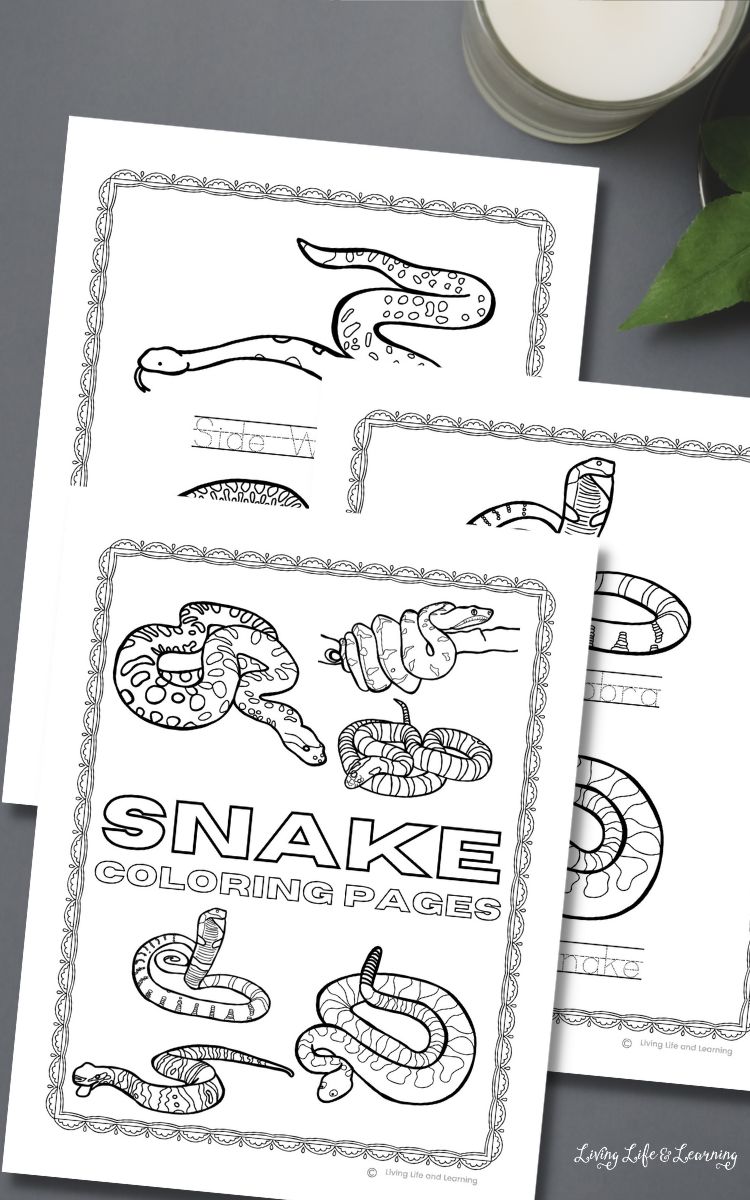Printable Snake Coloring Pages