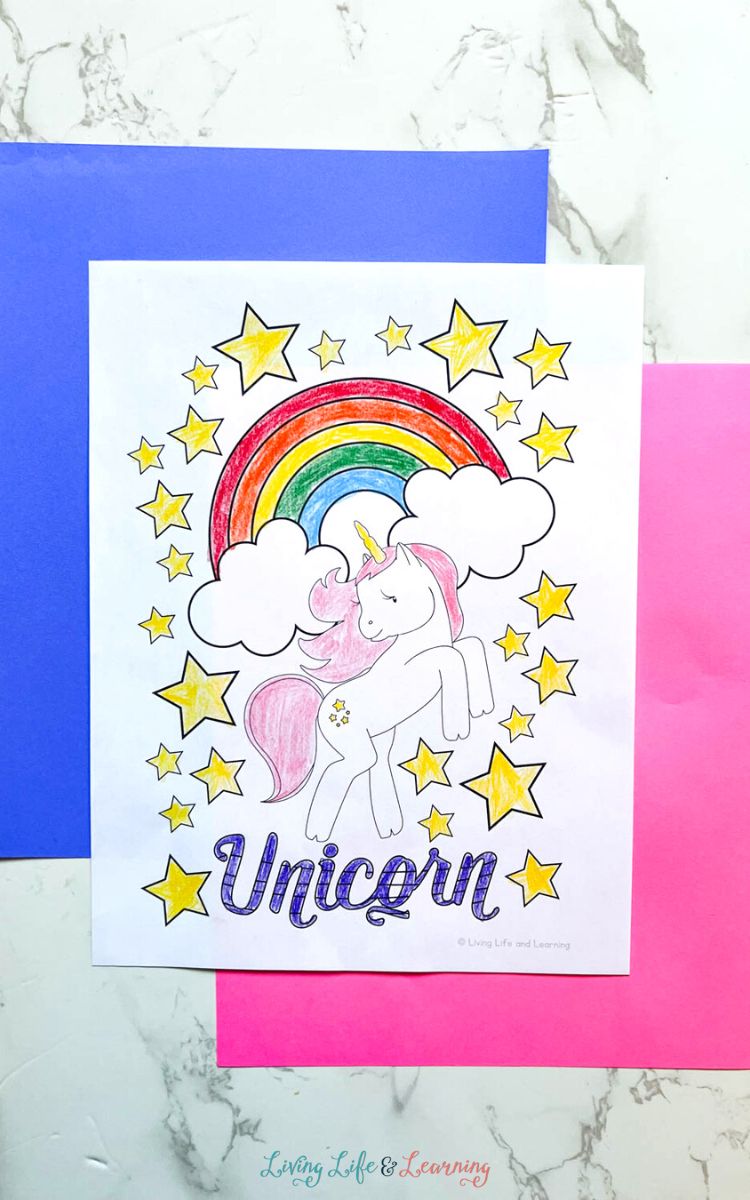 Jackinthebox Unicorn Crafts for Kids Ages 4-8, 6-In-1 Unicorn