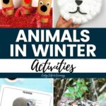 A collage of Animals in Winter Activities