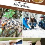 A collage of Animals in Winter Activities