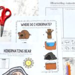 Three Hibernation Worksheets for Preschoolers on a table