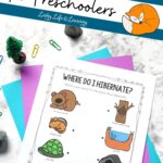 A Hibernation Worksheet for Preschoolers on a table