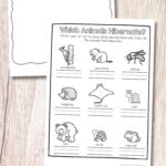 Two Hibernation Worksheets for Preschoolers on a table