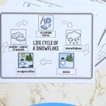 Life Cycle of a Snowflake Worksheet