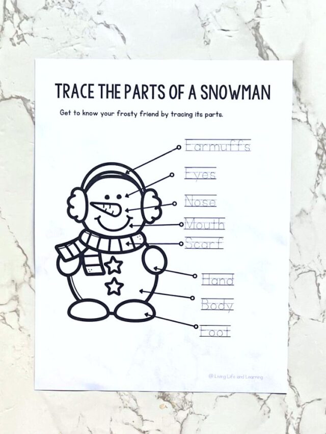 Label the Snowman Worksheet Story