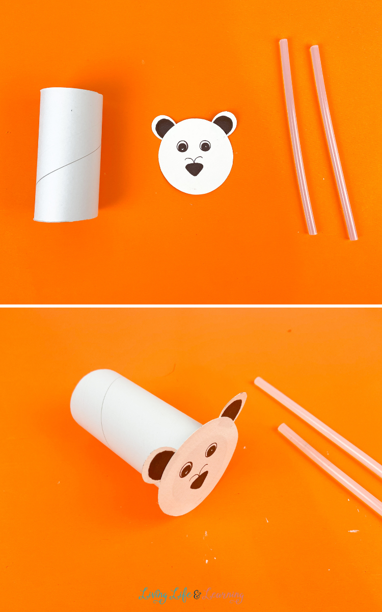 3D Polar Bear Craft