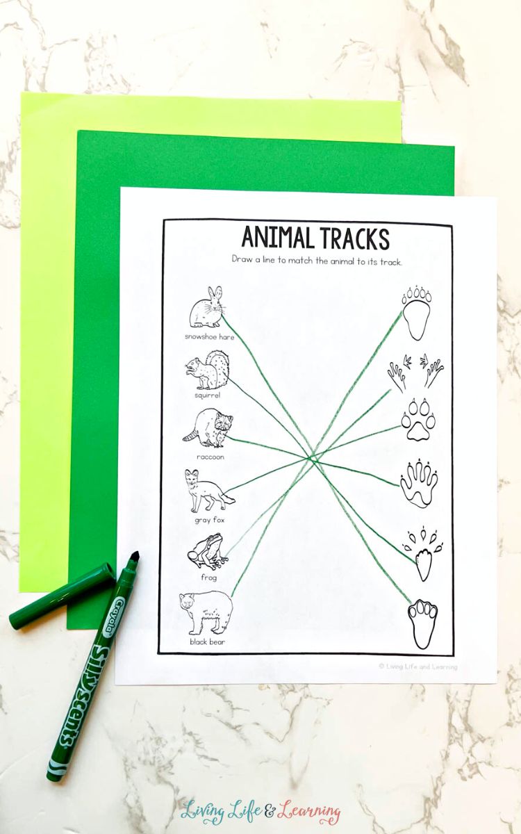 An Animal Tracks Printable on a table