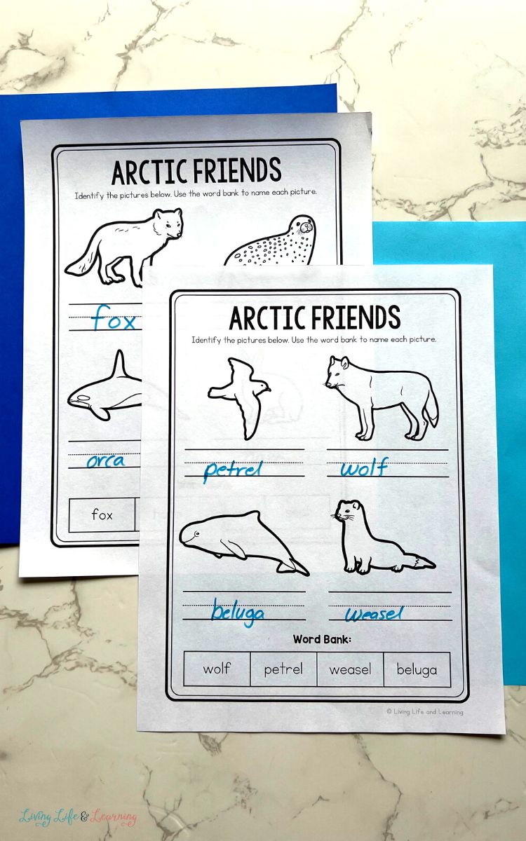 Arctic Animals Worksheets for Preschool