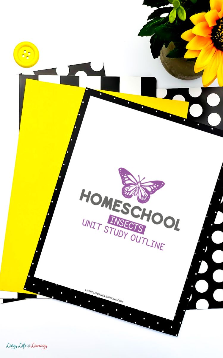 Insect Unit Study Resources