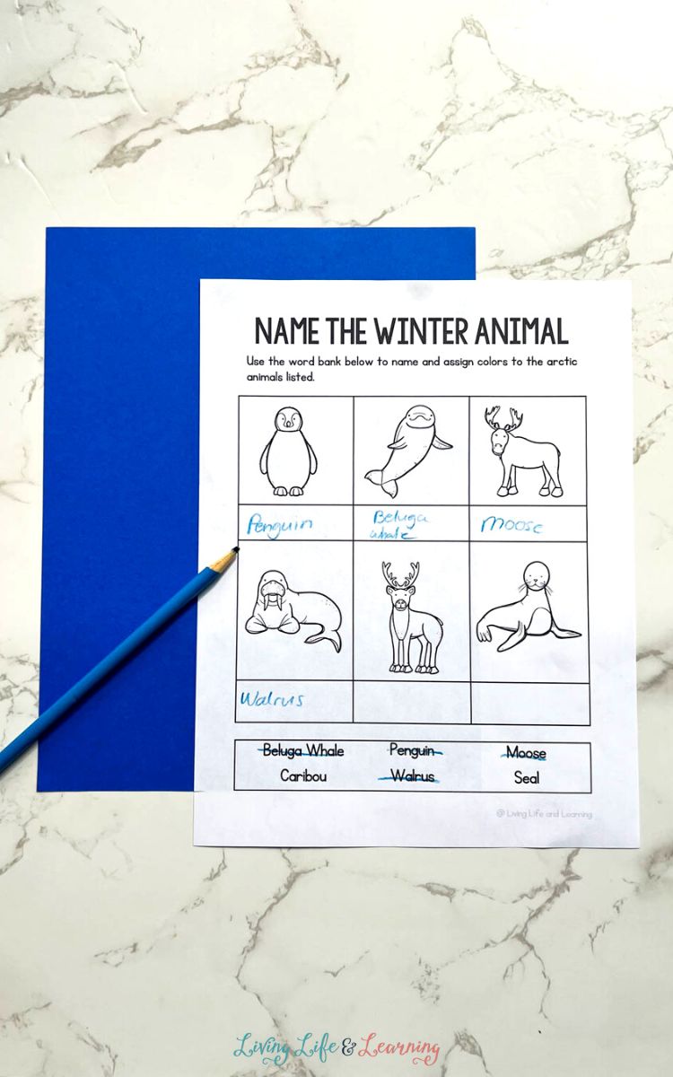 A Winter Animal Printable on a table