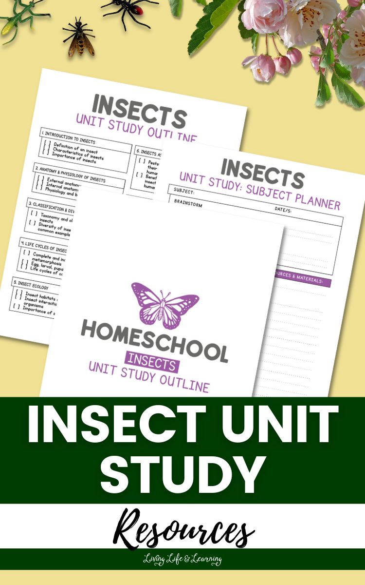 Insect Unit Study Resources