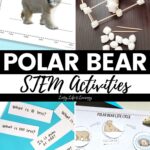 A collage of Polar Bear STEM Activities