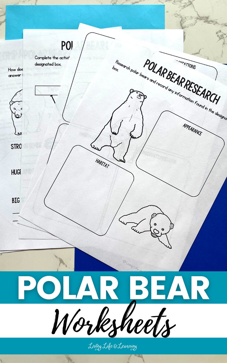 Polar Bear Worksheets