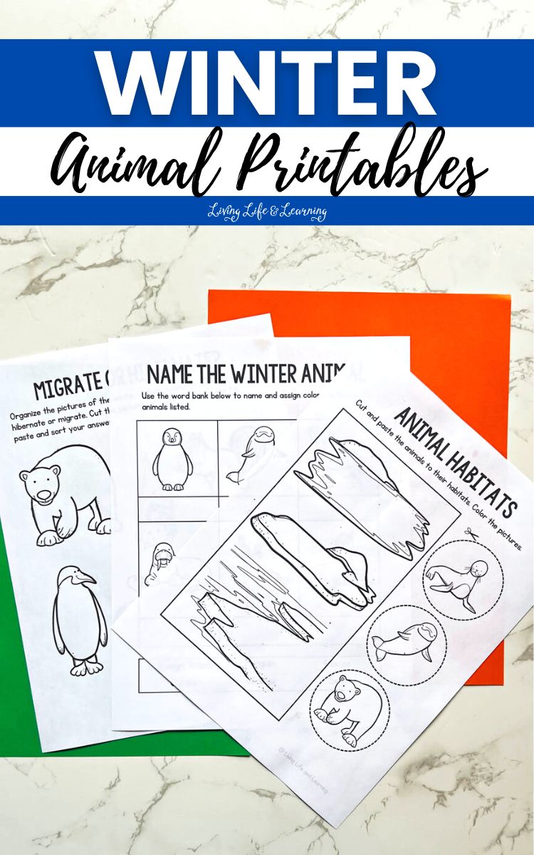 Winter Animal Printables