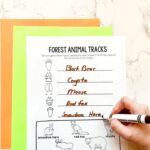 An Animal Tracks Printable on a table