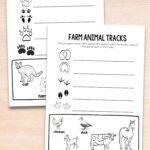 Two Animal Tracks Printables on a table
